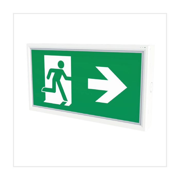 Emergency Exit Box - Side Entry (Selectable Test), PTBOXSE-1W/MTST