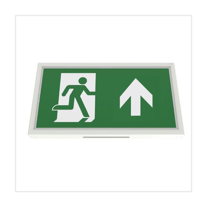 Emergency Exit Box - Slim (Self Test), PTBOXSLIM-1W/ST