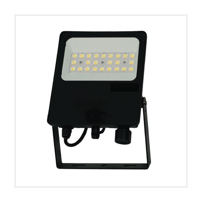 Residential Flood Light (Colour Switchable), PTFLOOD1-50/TC