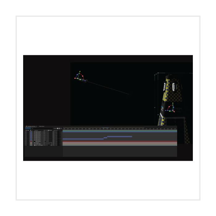 RMS - Video Option 2, RMS-VIDEO2