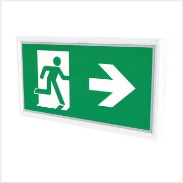 Emergency Exit Box - Side Entry (Selectable Test), PTBOXSE-1W/MTST