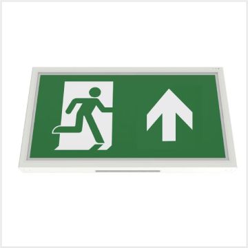 Emergency Exit Box - Slim (Manual Test), PTBOXSLIM-1W/MT