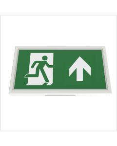 Emergency Exit Box - Slim (Manual Test)