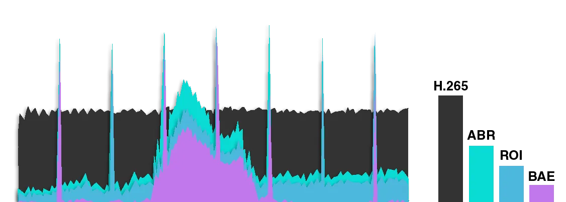 Recreated_-_Bit_Rate_Chart_Alt