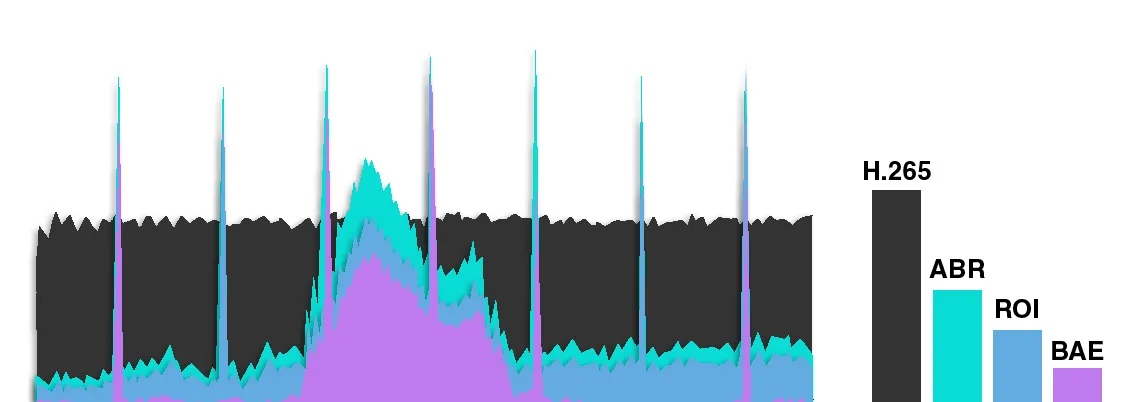 Recreated_2_-_Bit_Rate_Chart