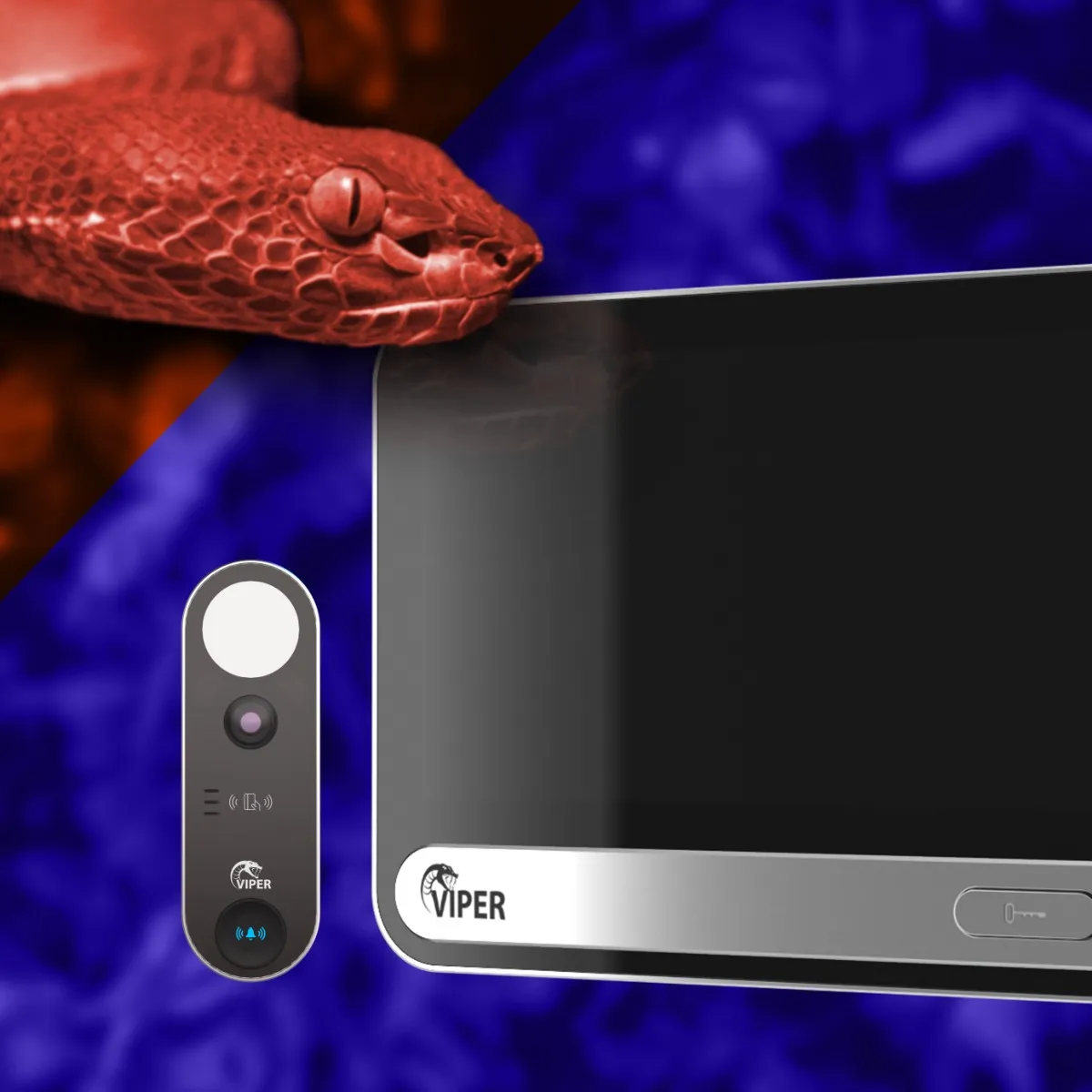 Intercoms_-_Viper_Bites_Back