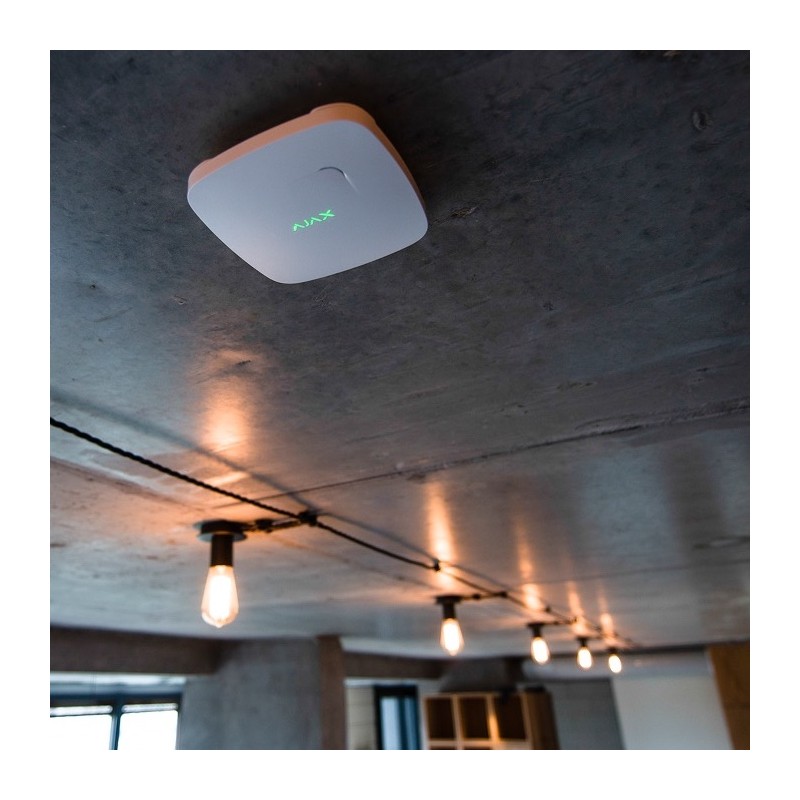 PureTech Lighting