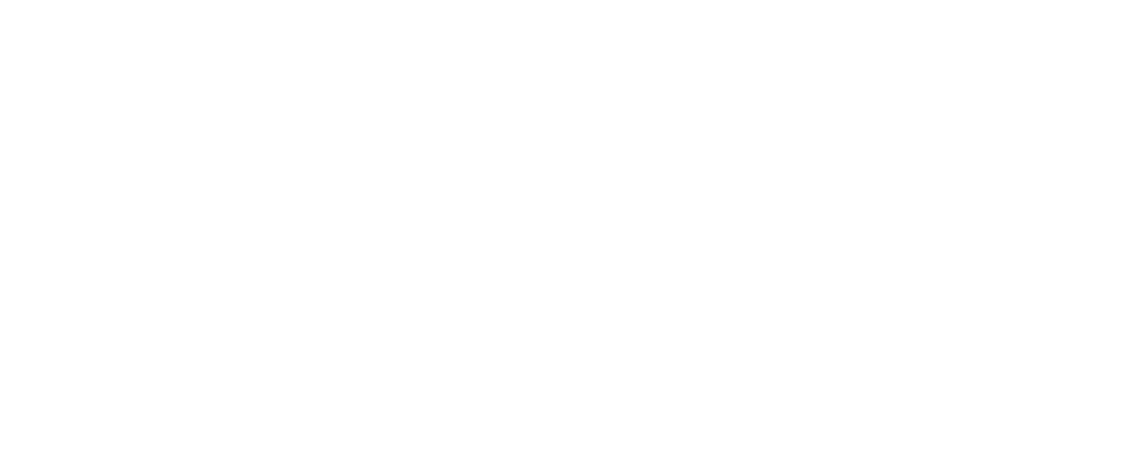 550px_x_175px_-_Netgenium_Logo-01_1