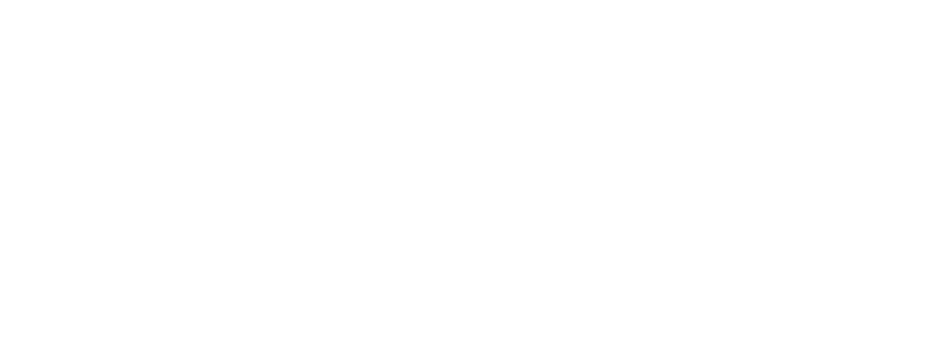 RapiDetect_TM_Logo_White