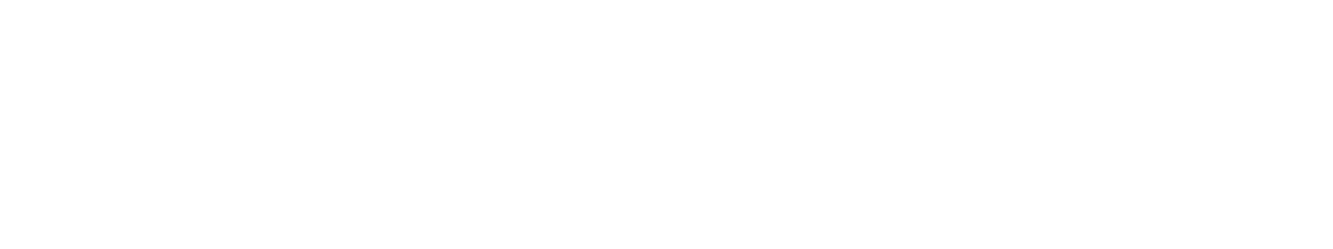 Visonic_logo_white